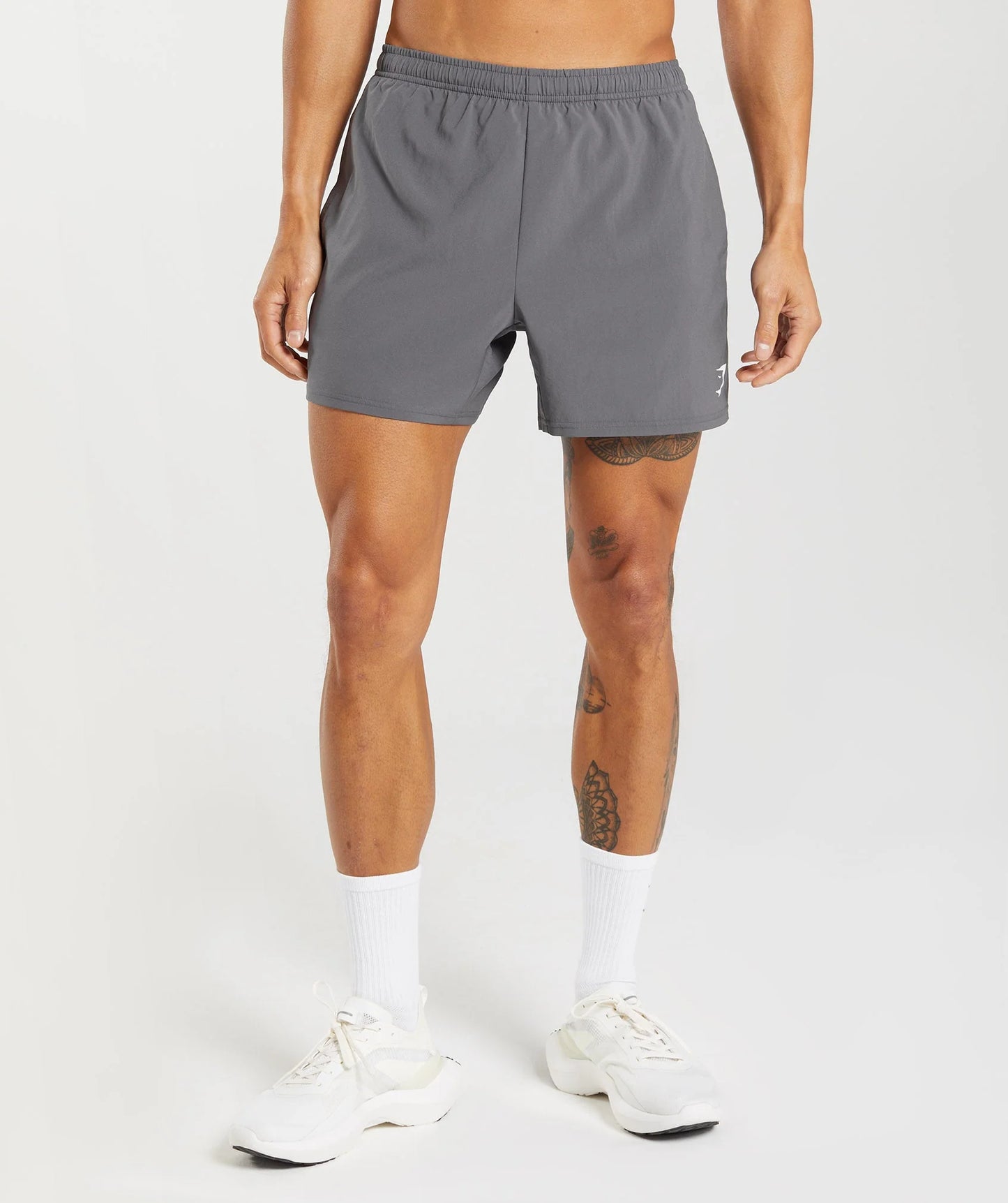 Short Arrival 5 - Gris