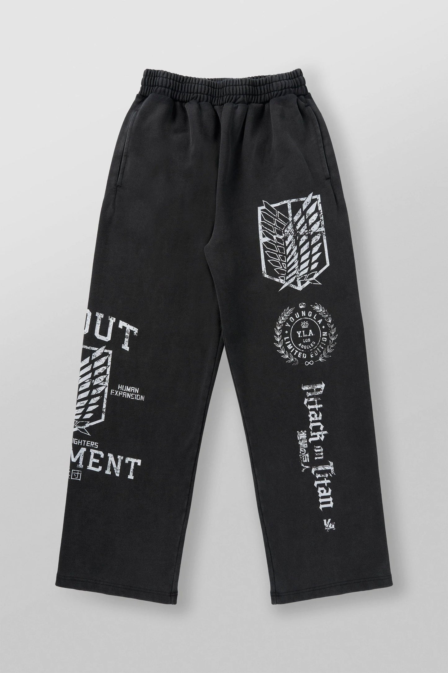 2128 - AOT X YLA BAGGY JOGGERS