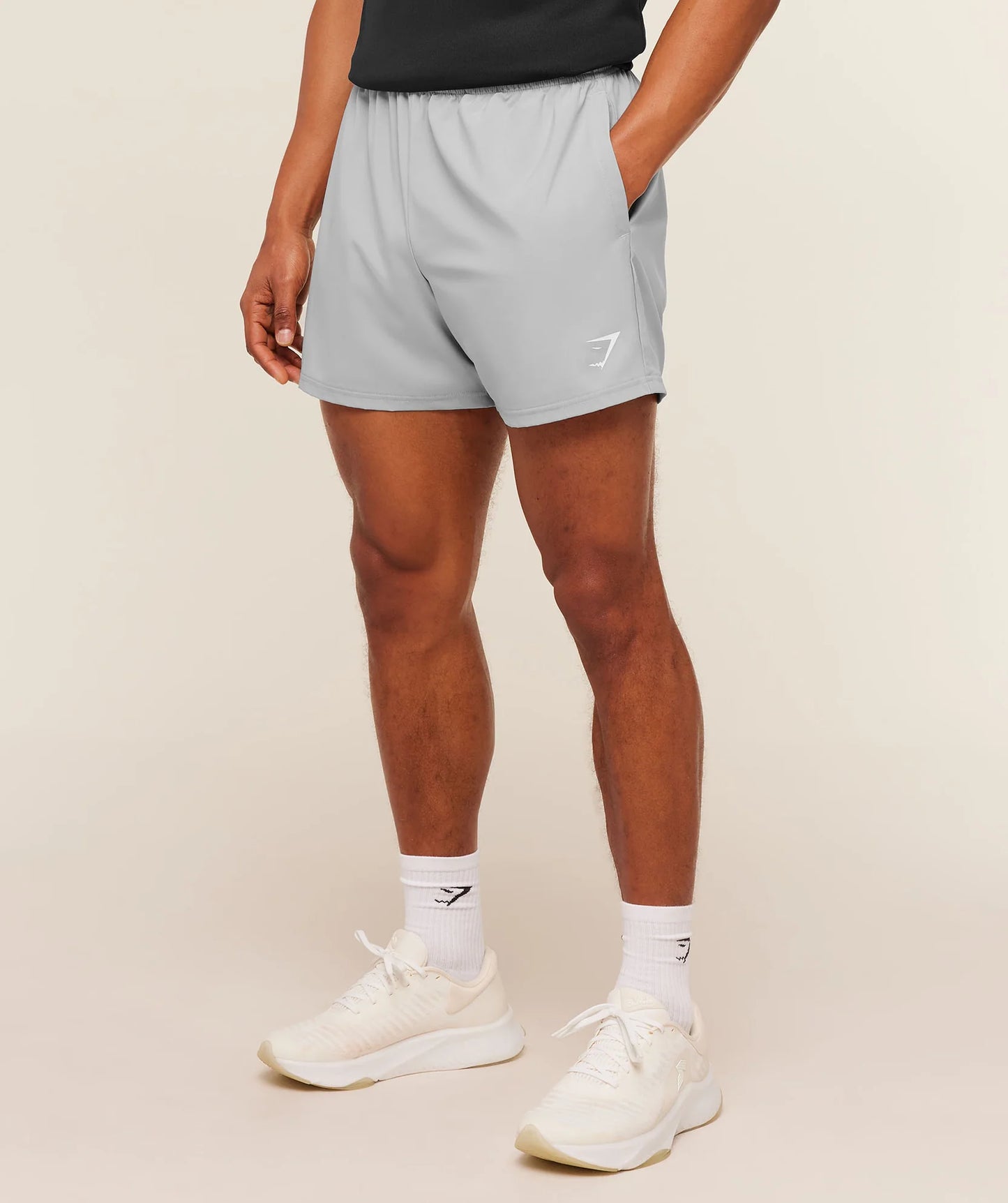 Short Arrival  5 - Gris